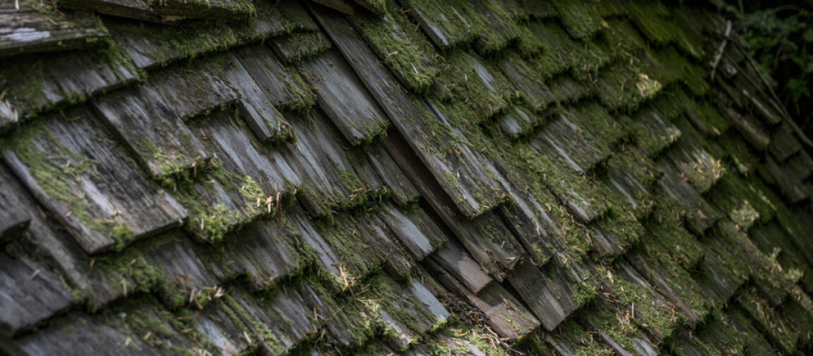 Effective-Ways-To-Maintain-a-Wood-Shake-Roof